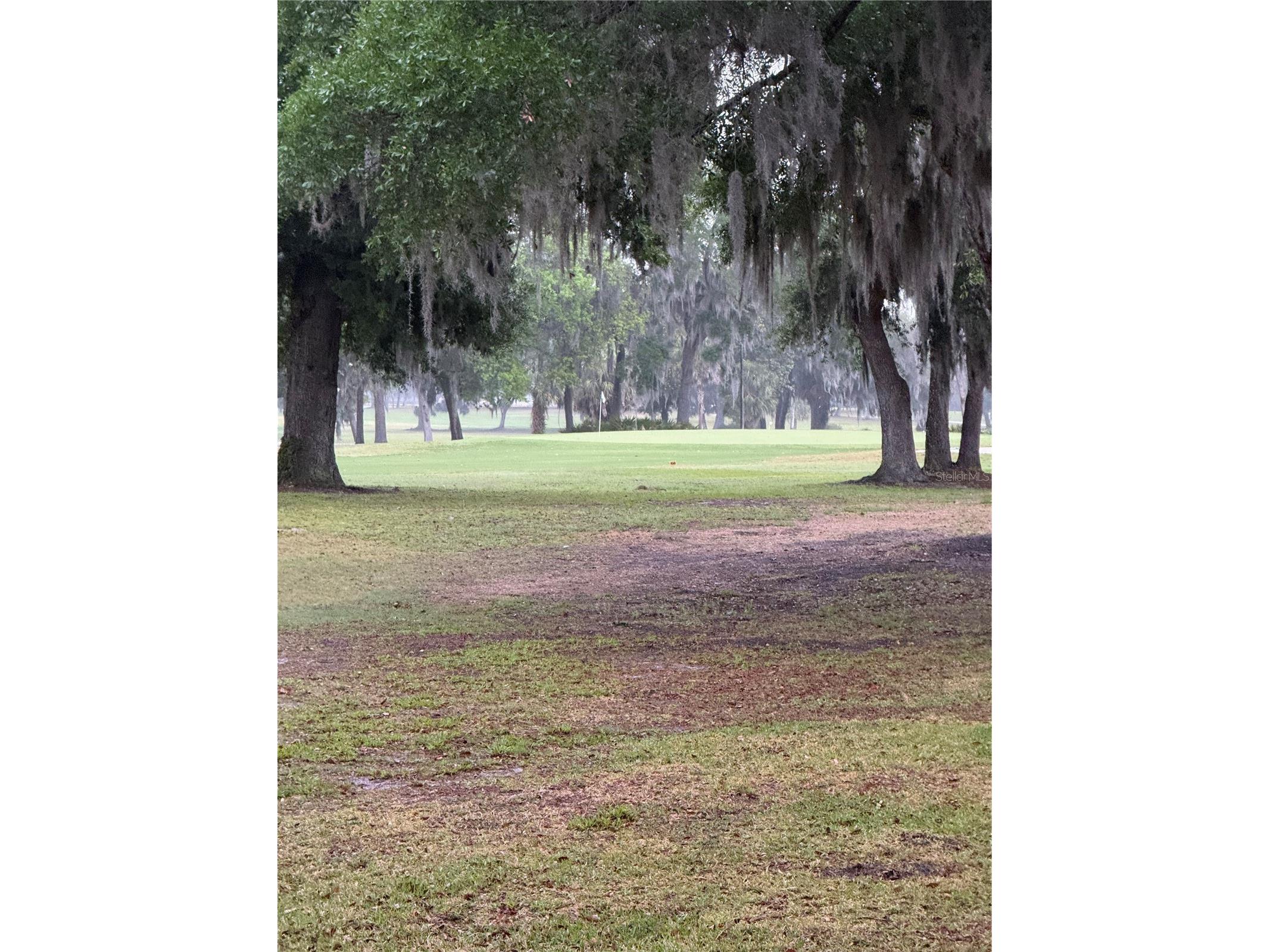 57 N Bobwhite Road Wildwood FL 34785 TB8496599 image28