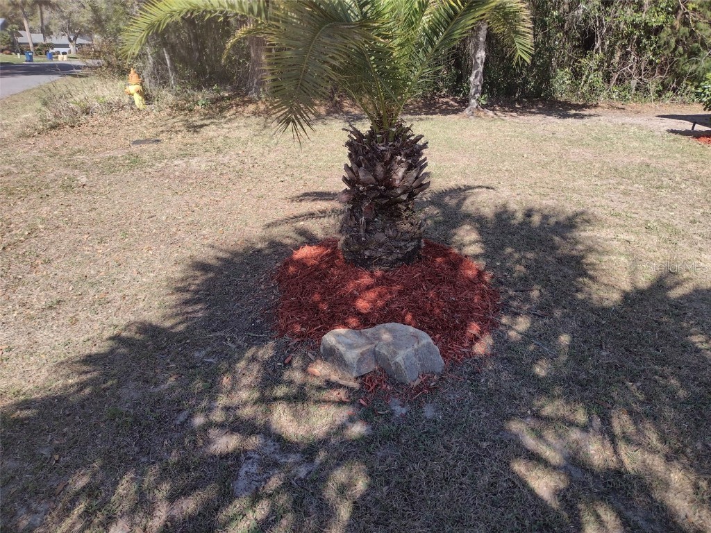 57 Pine Drive Homosassa FL 34446 OM703120 image42
