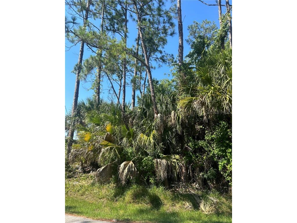 57 Pittman Drive Palm Coast FL 32164 FC301423 image1