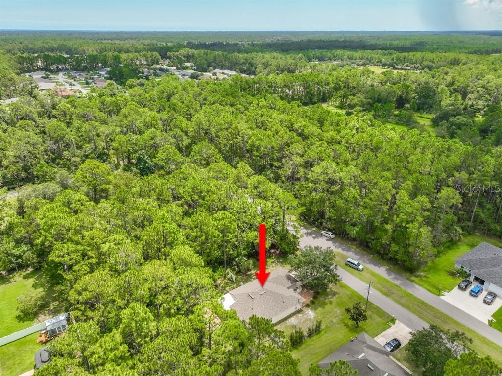 57 Sleepy Hollow Trail Palm Coast FL 32164 FC311721 image43