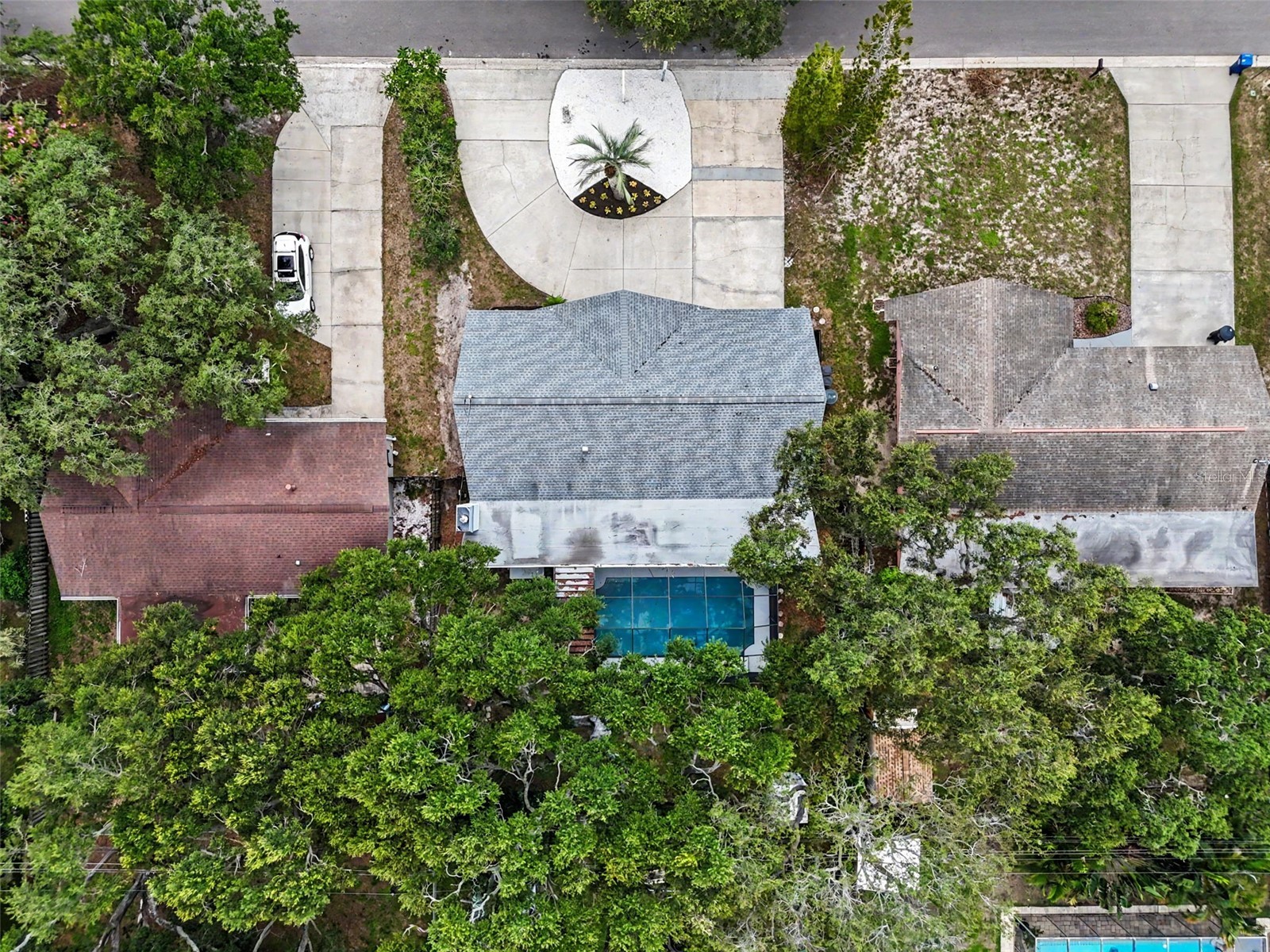 57 Ventura Drive Dunedin FL 34698 TB8532566 image3