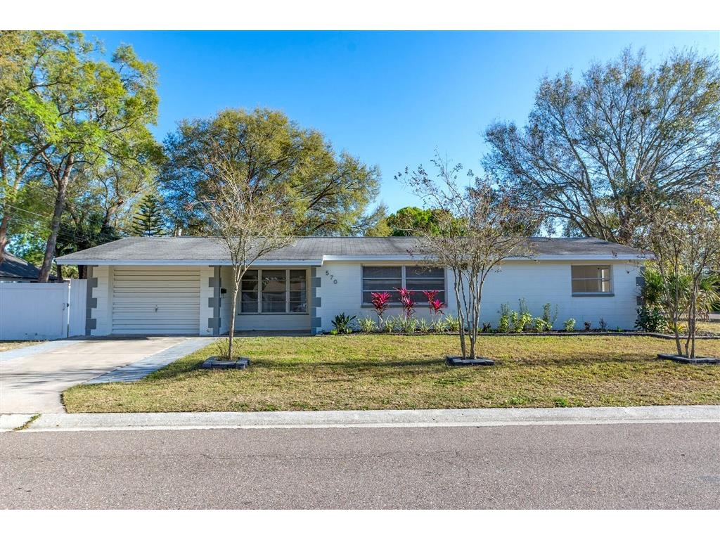 570 Atwood Avenue N Saint Petersburg FL 33702 O6093979 image1