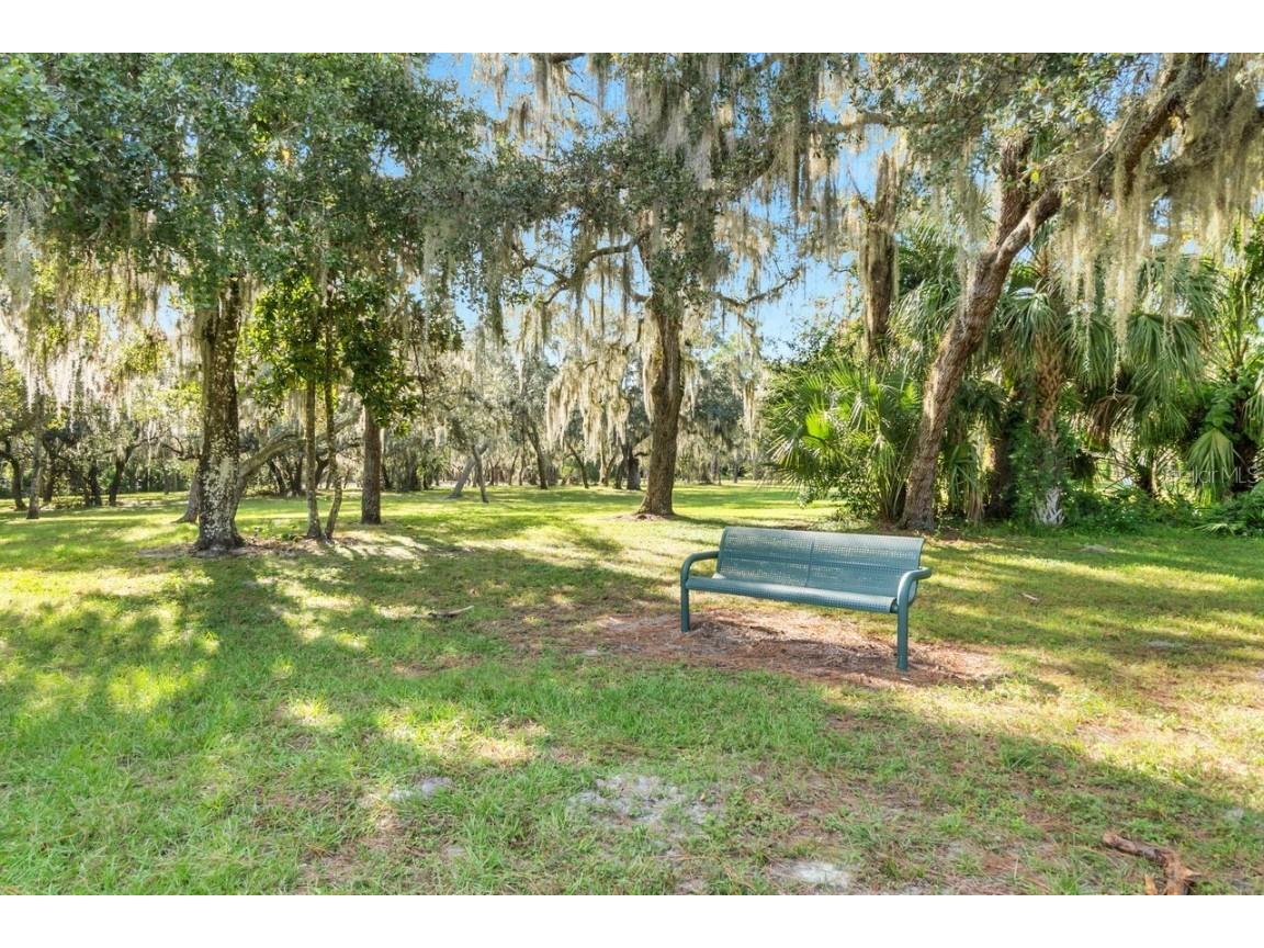 570 E 5th Street Chuluota FL 32766 O6353930 image39