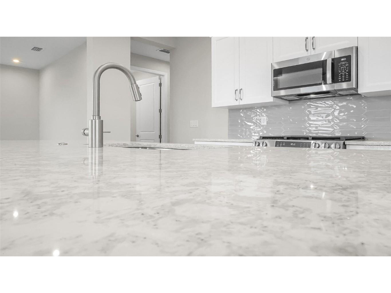 570 Hammock Oaks Boulevard Lady Lake FL 32159 W7880015 image28