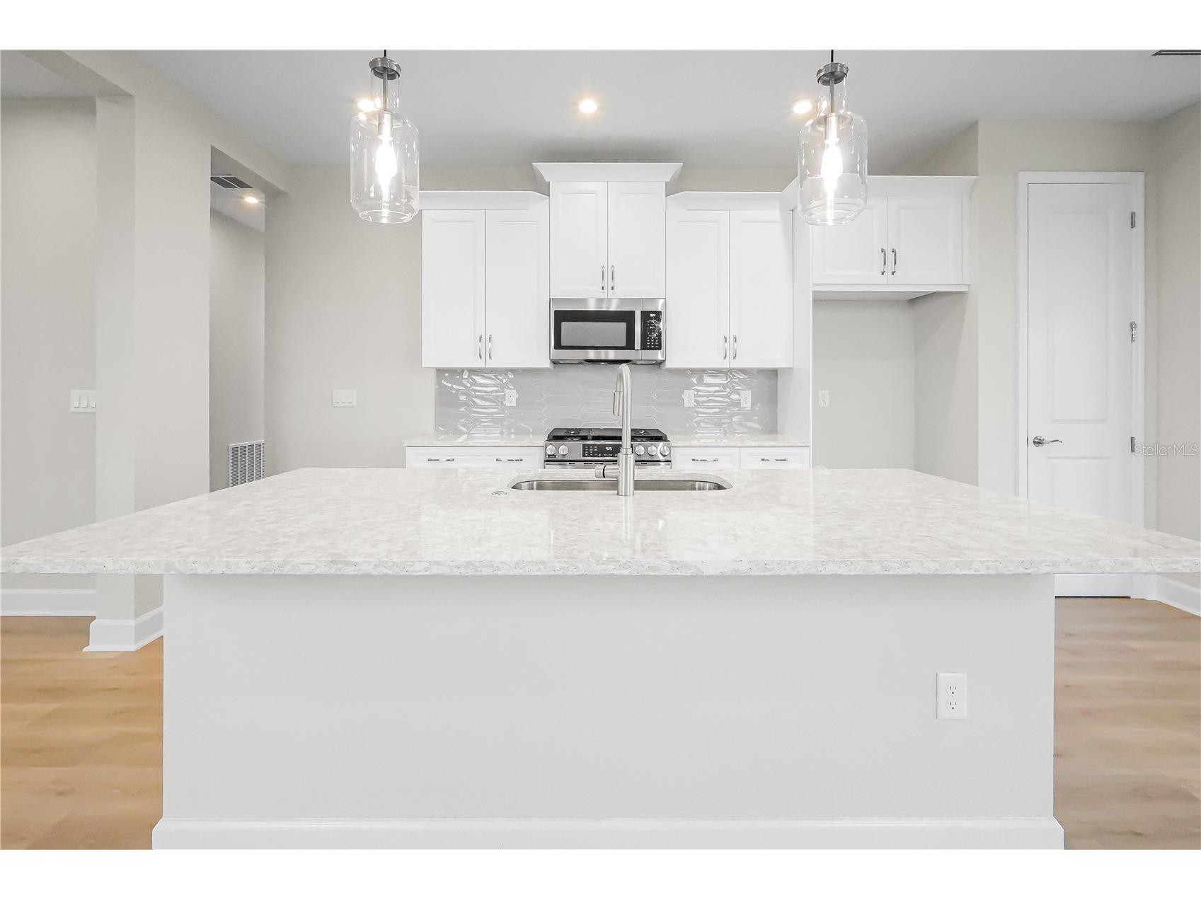 570 Hammock Oaks Boulevard Lady Lake FL 32159 W7886354 image24