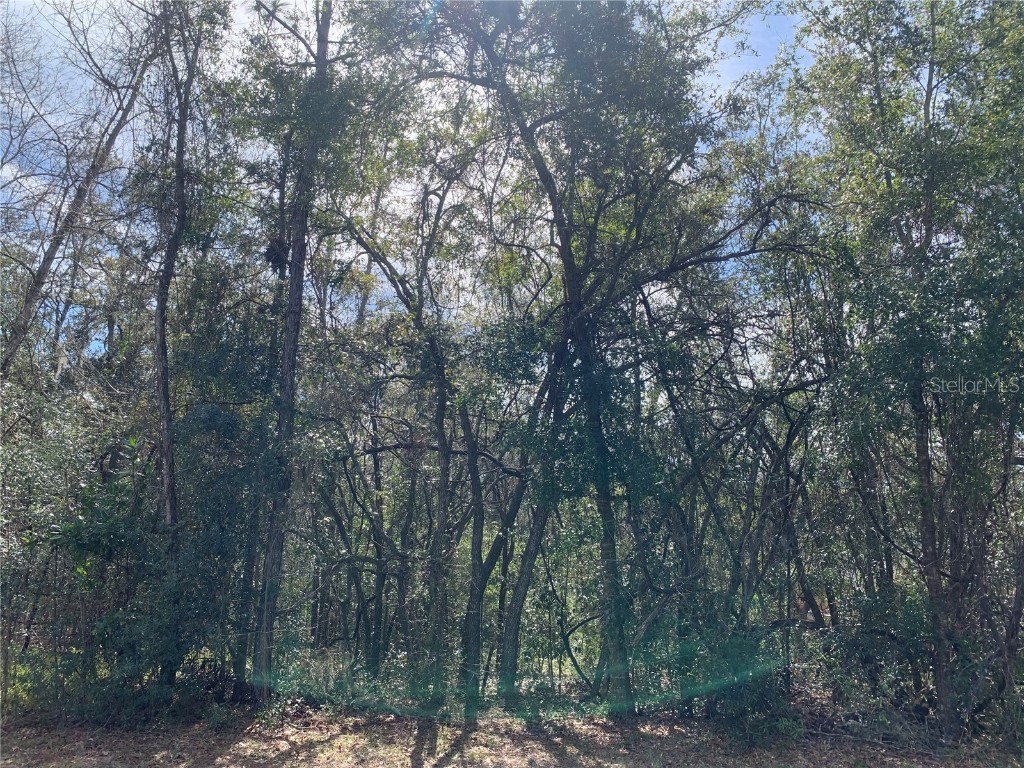 570 W Chase Street Hernando FL 34442 U8230998 image1