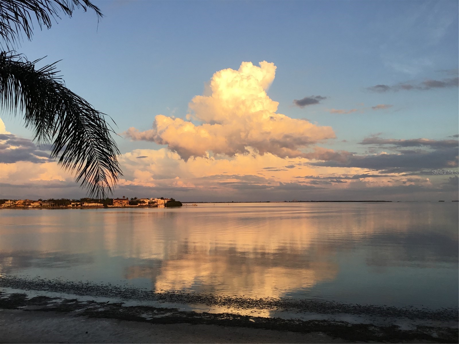 5700 Escondida Boulevard S #303 Saint Petersburg FL 33715 - TAMPA BAY TB8418802 image47