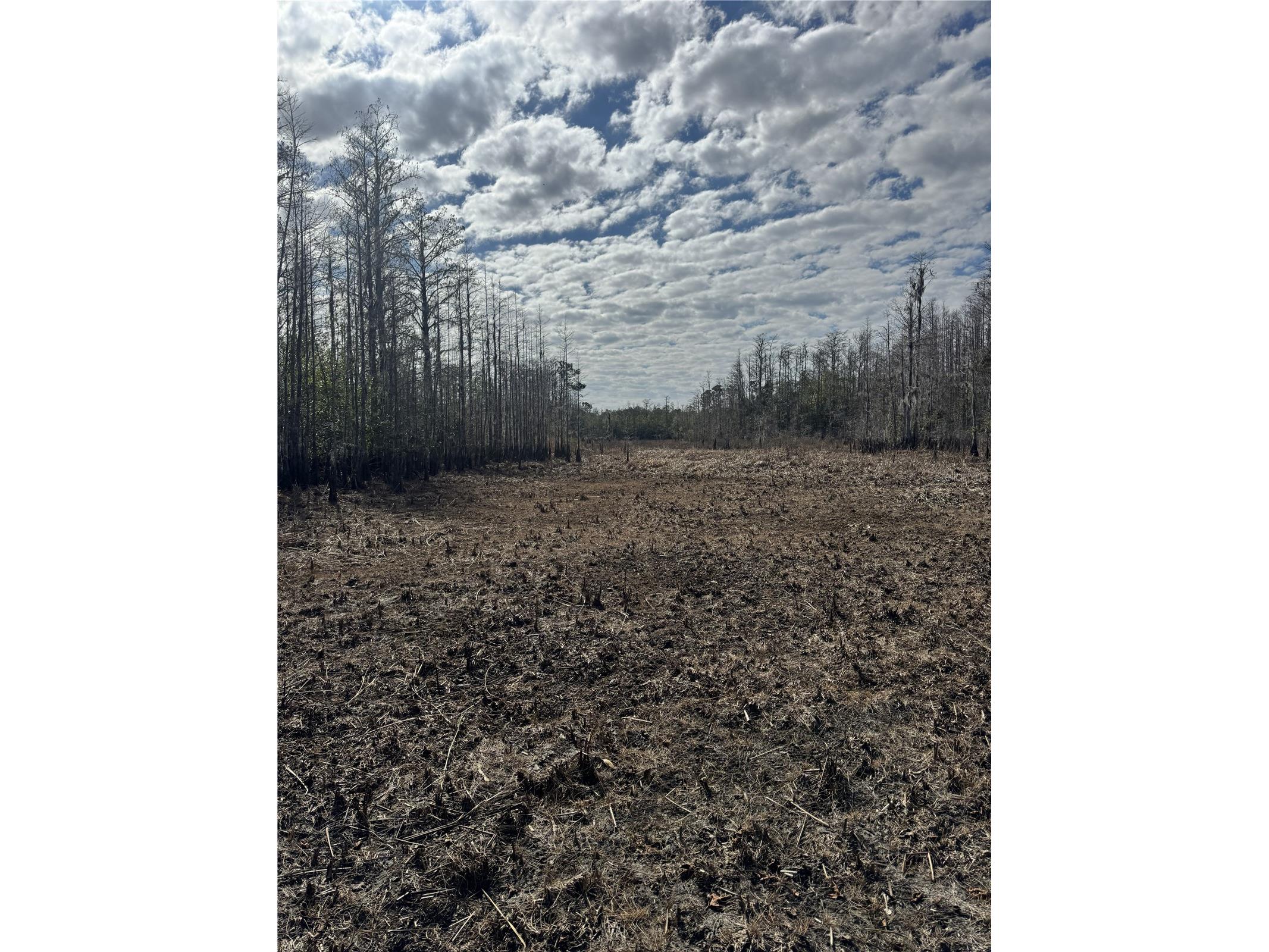 5700 Lake Erie Road Groveland FL 34736 G5109033 image11