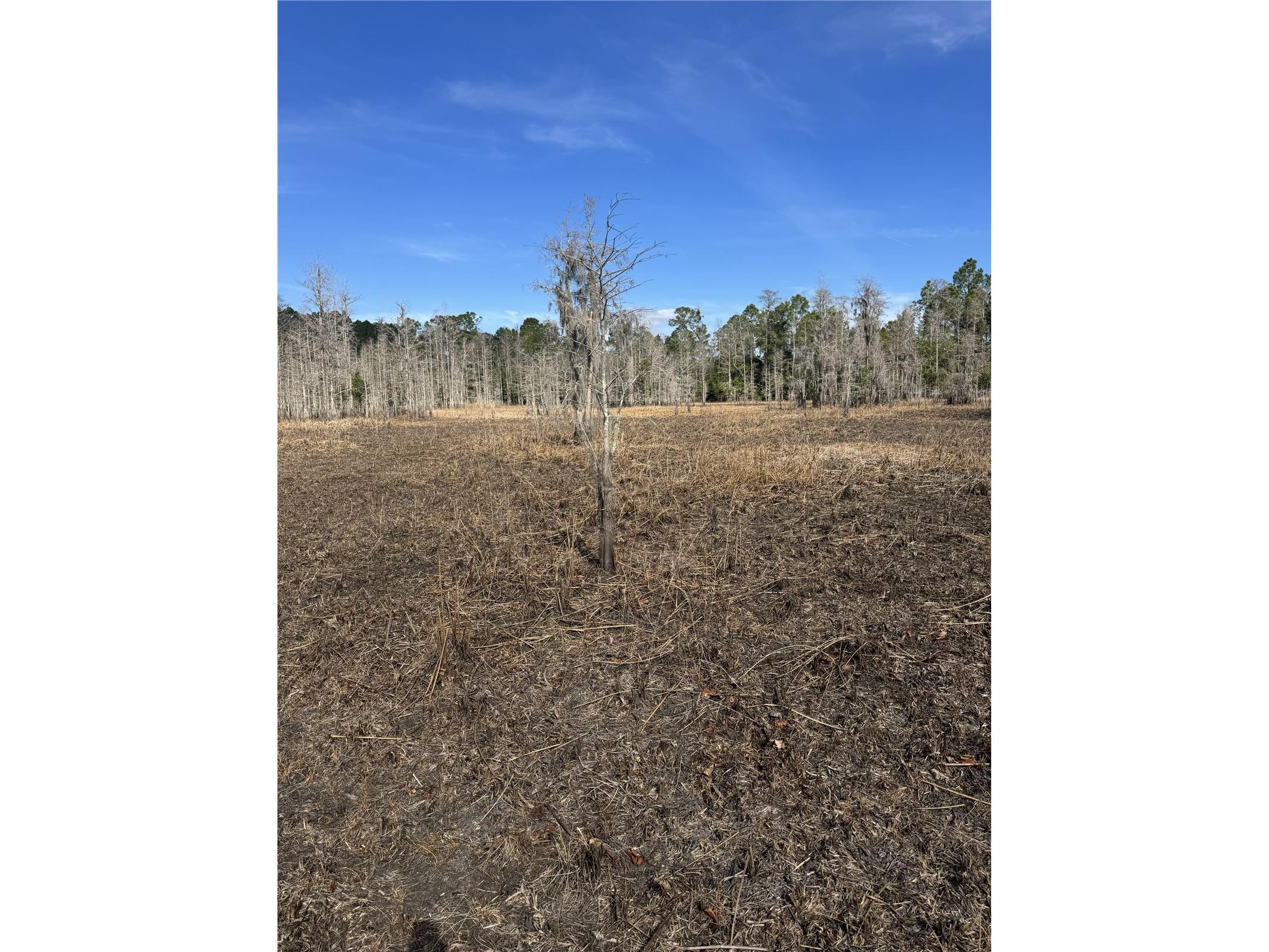 5700 Lake Erie Road Groveland FL 34736 G5109033 image12
