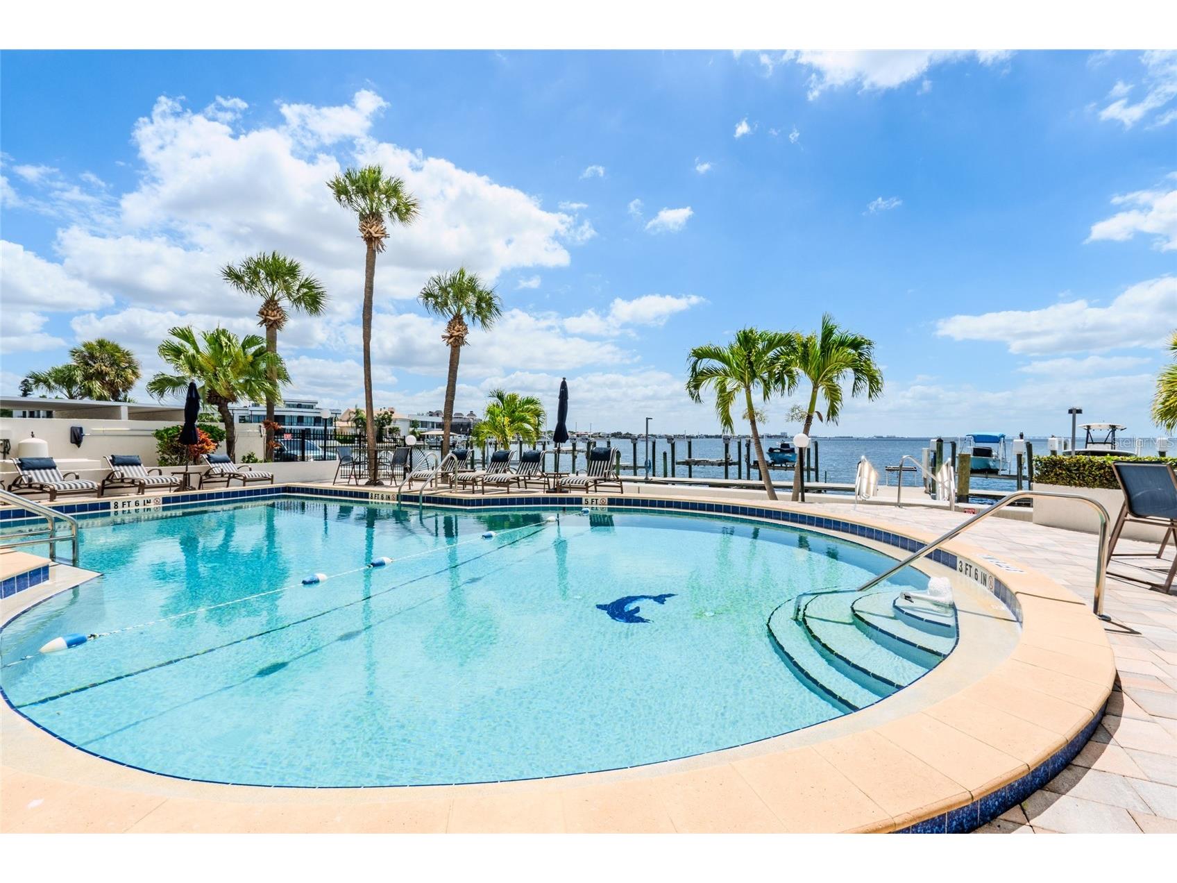 5700 Mariner Street #503A Tampa FL 33609 - OLD TAMPA BAY TB8498327 image19