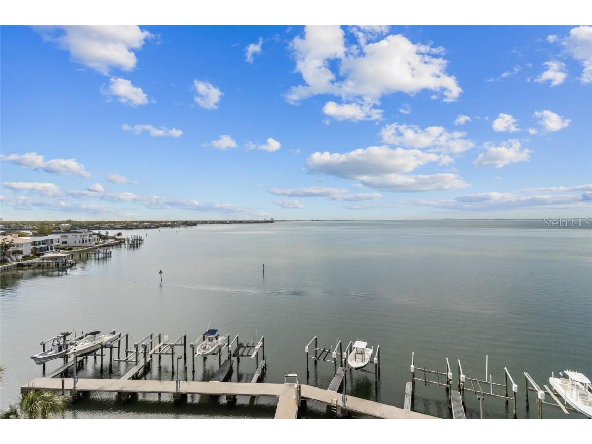 5700 Mariner Street #704 Tampa FL 33609 U8234070 image1