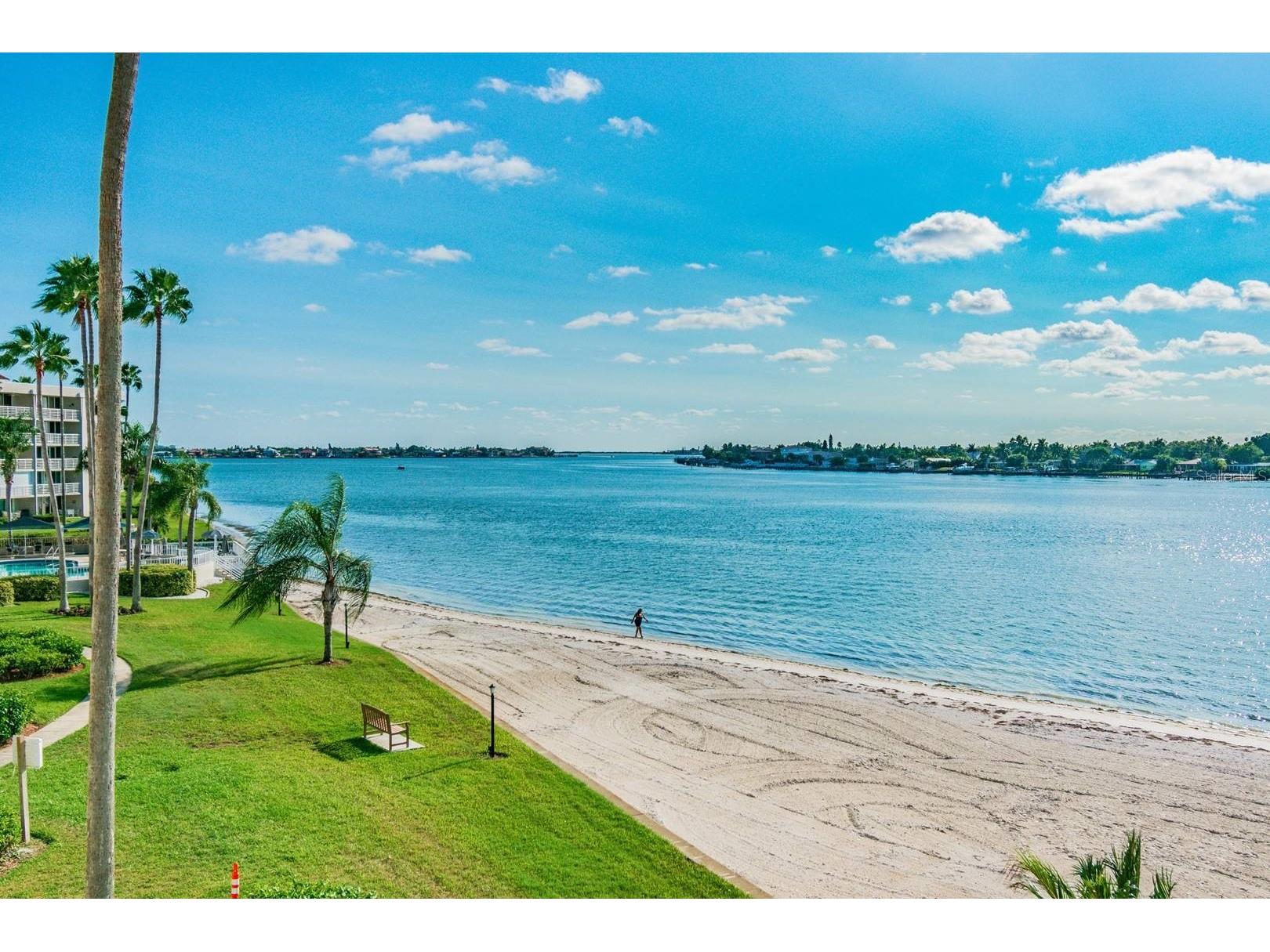 5701 Bahia Del Mar Circle #403 Saint Petersburg FL 33715 TB8474658 image23