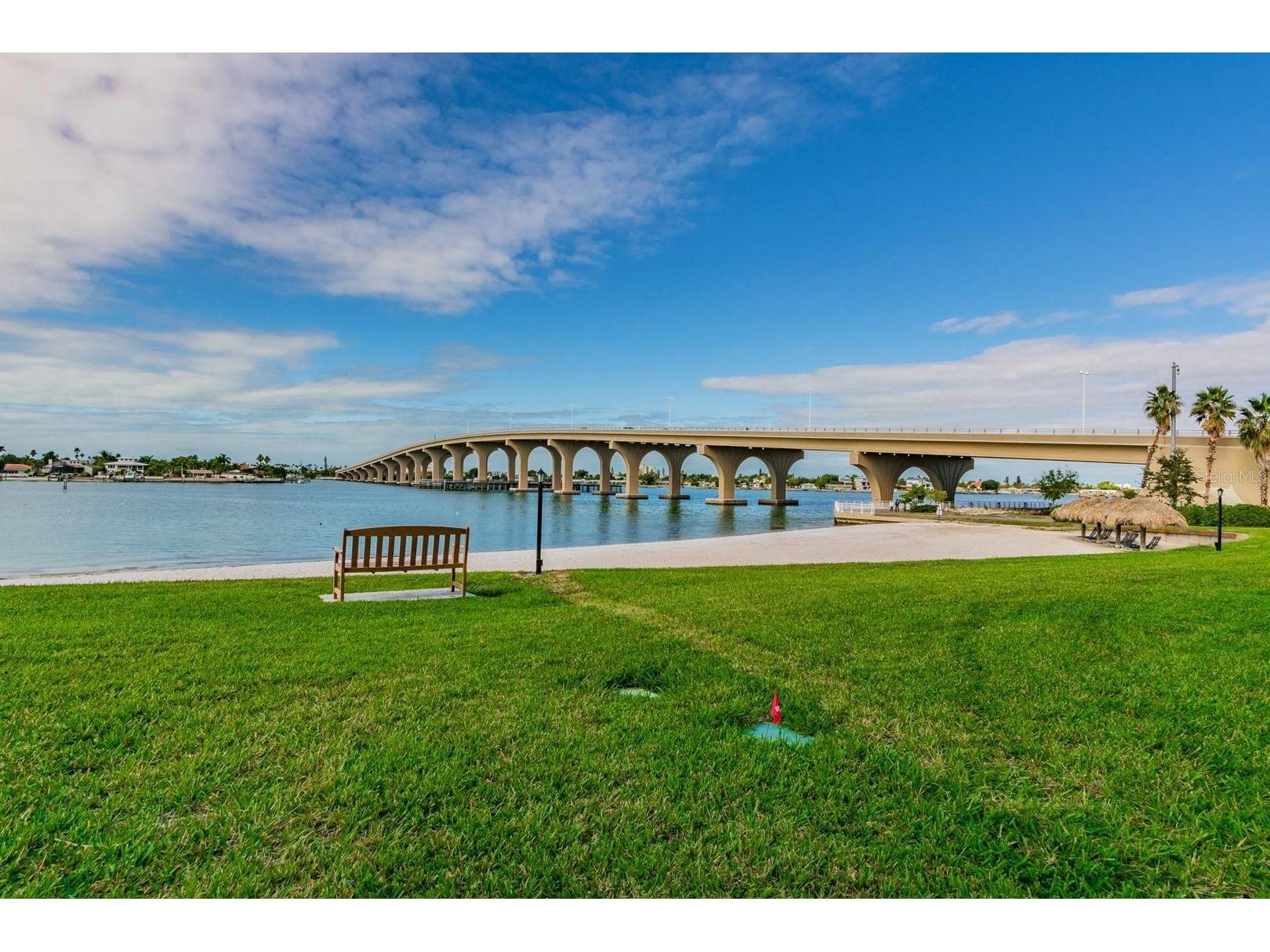 5701 Bahia Del Mar Circle #403 Saint Petersburg FL 33715 TB8474658 image24
