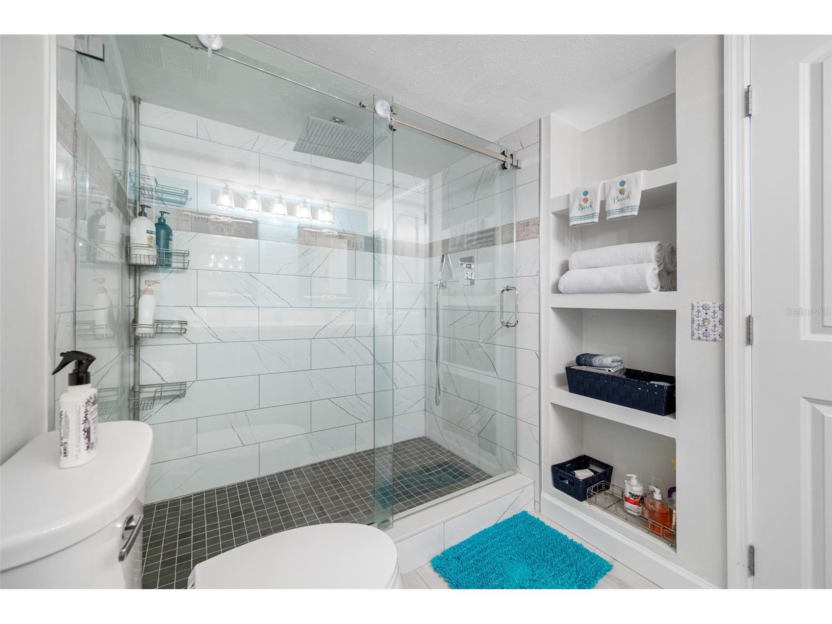5701 Bahia Del Mar Circle #408 Saint Petersburg FL 33715 TB8496628 image22