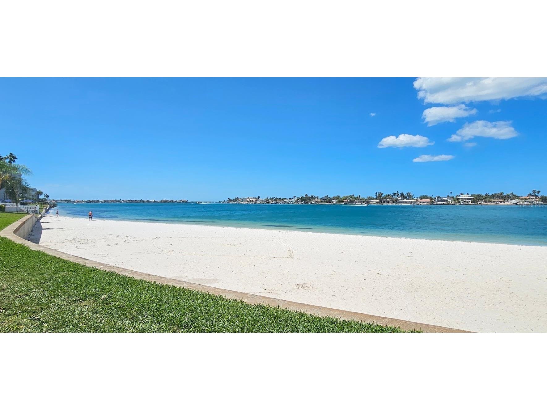 5701 Bahia Del Mar Circle #408 Saint Petersburg FL 33715 TB8496628 image39
