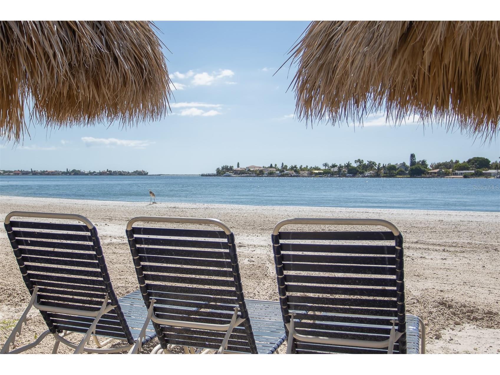 5701 Bahia Del Mar Circle #408 Saint Petersburg FL 33715 TB8496628 image40
