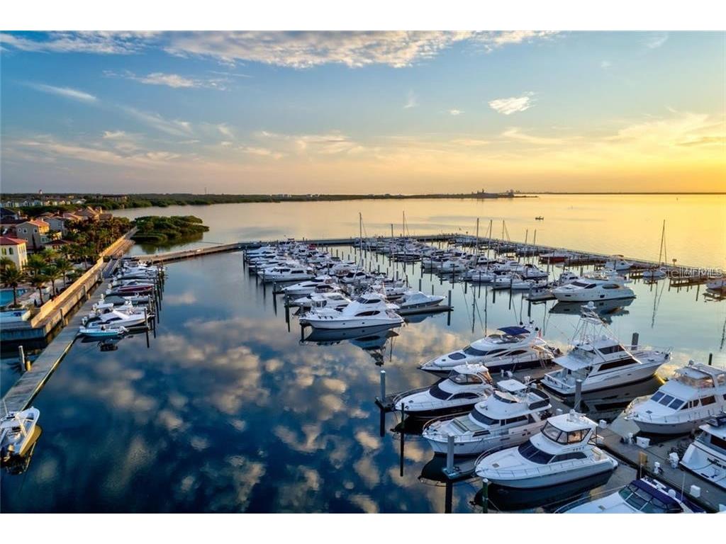 5701 Bowen Daniel Dr. #805 Tampa FL 33616 TB8424897 image37