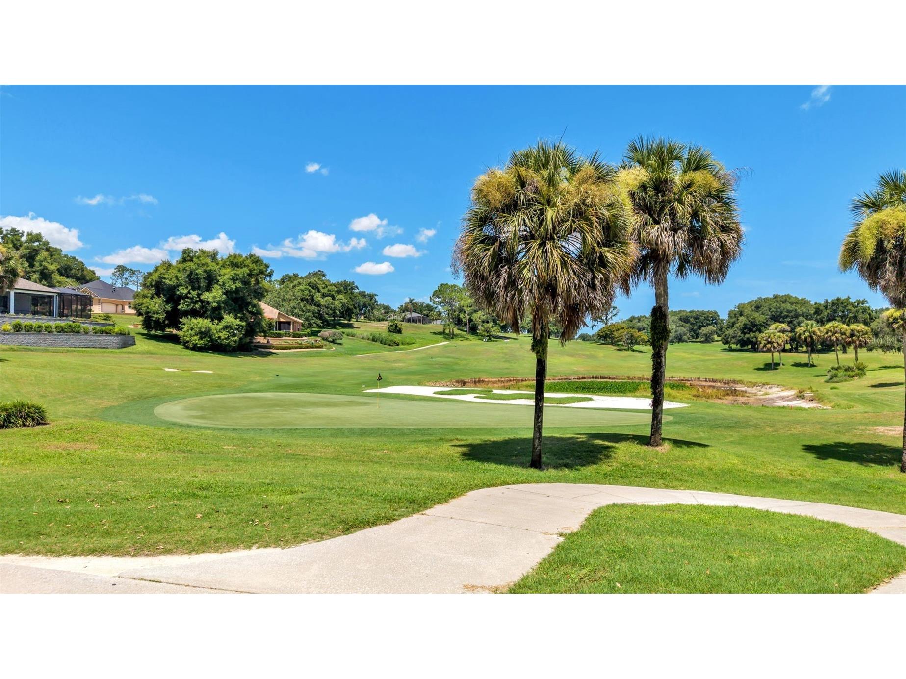 5701 Crestview Drive Lady Lake FL 32159 P4939293 image55