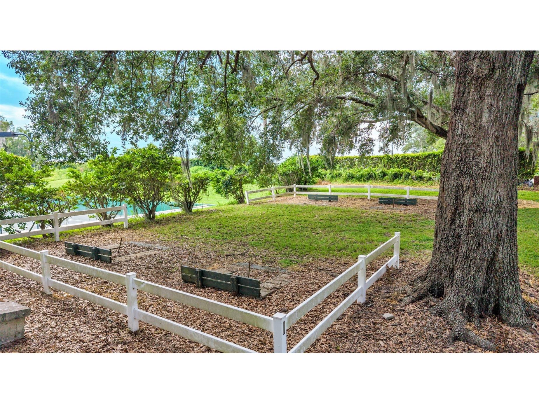 5701 Crestview Drive Lady Lake FL 32159 P4939293 image58