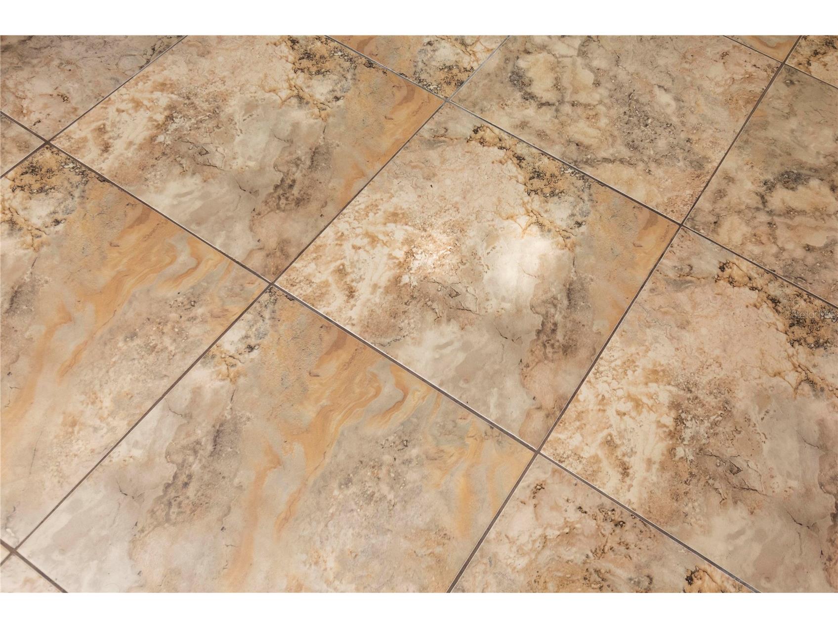 5701 Mossberg Drive New Port Richey FL 34655 W7879729 image12