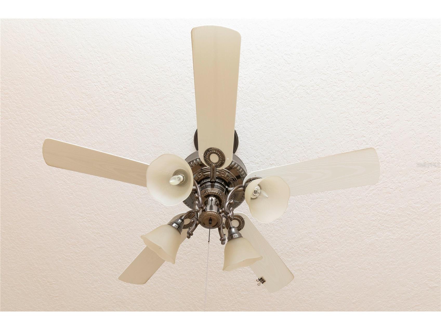 5701 Mossberg Drive New Port Richey FL 34655 W7879729 image15