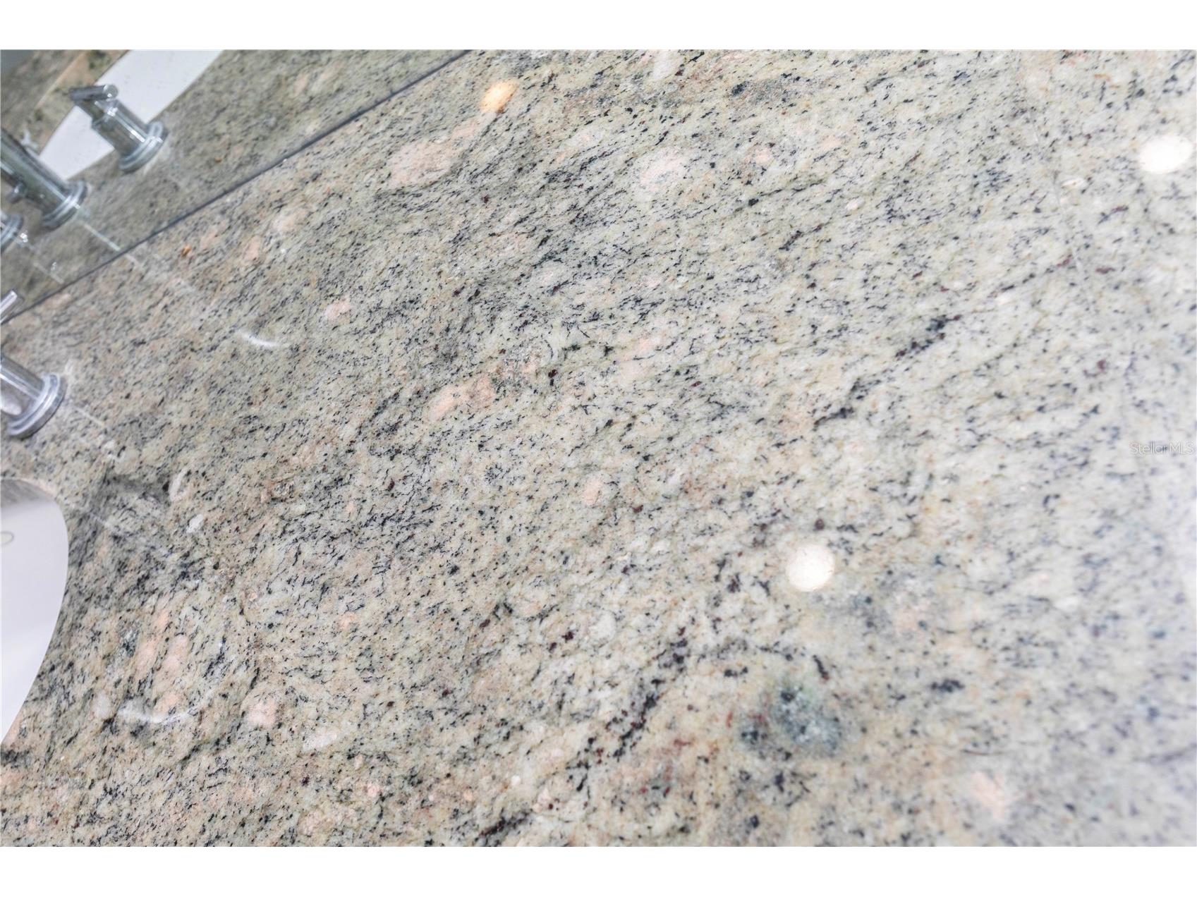 5701 Mossberg Drive New Port Richey FL 34655 W7879729 image27