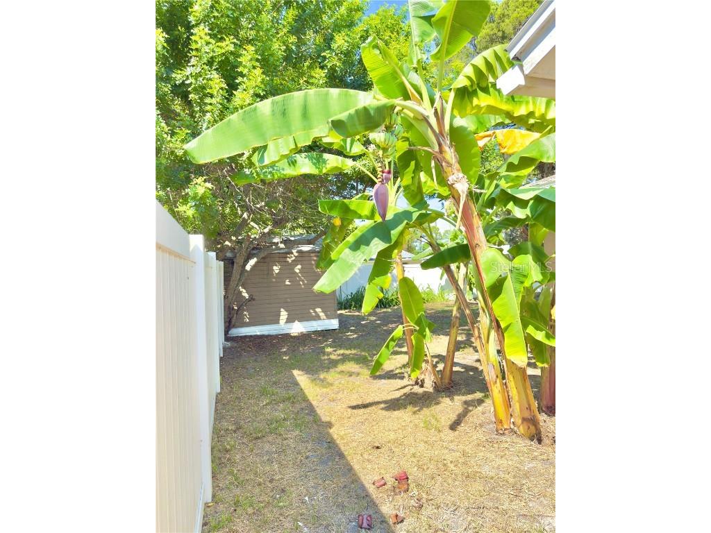 5701 Quist Drive Port Richey FL 34668 TB8431146 image52