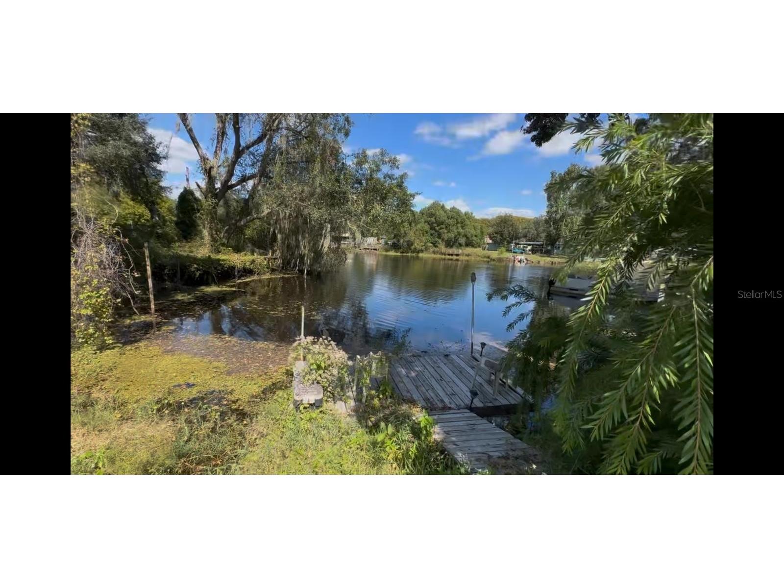 5701 S Withlapopka Drive Floral City FL 34436 TB8429818 image16