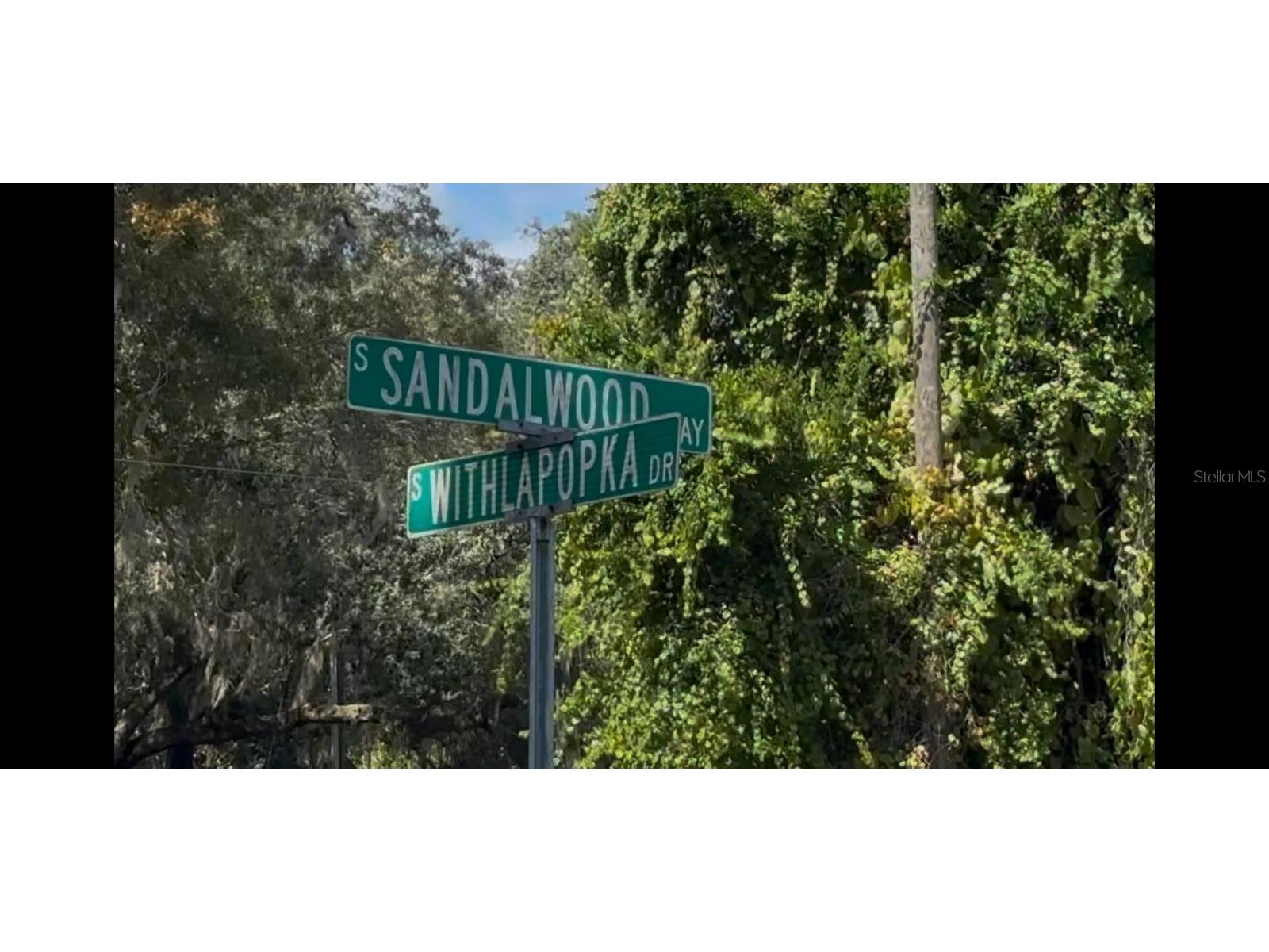 5701 S Withlapopka Drive Floral City FL 34436 TB8429818 image19