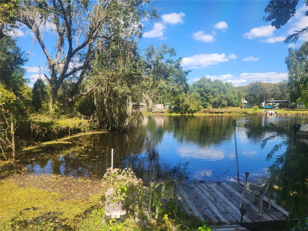 5701 S Withlapopka Drive Floral City FL 34436 TB8429818 image9