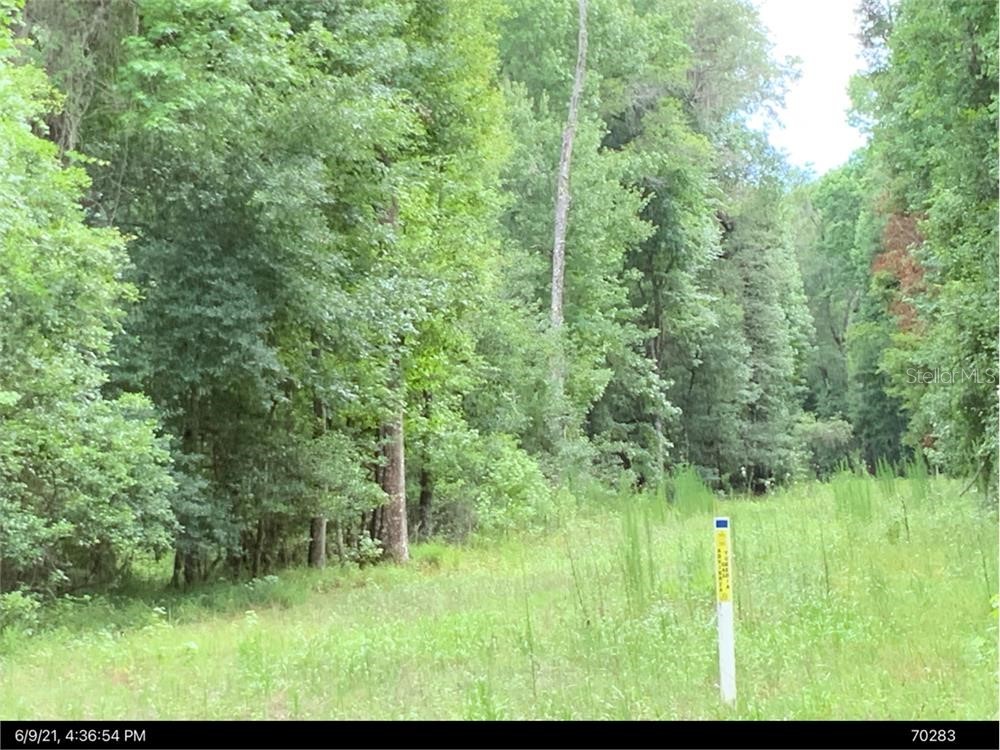 5701 SW 127th Avenue Micanopy FL 32667 O6337955 image1