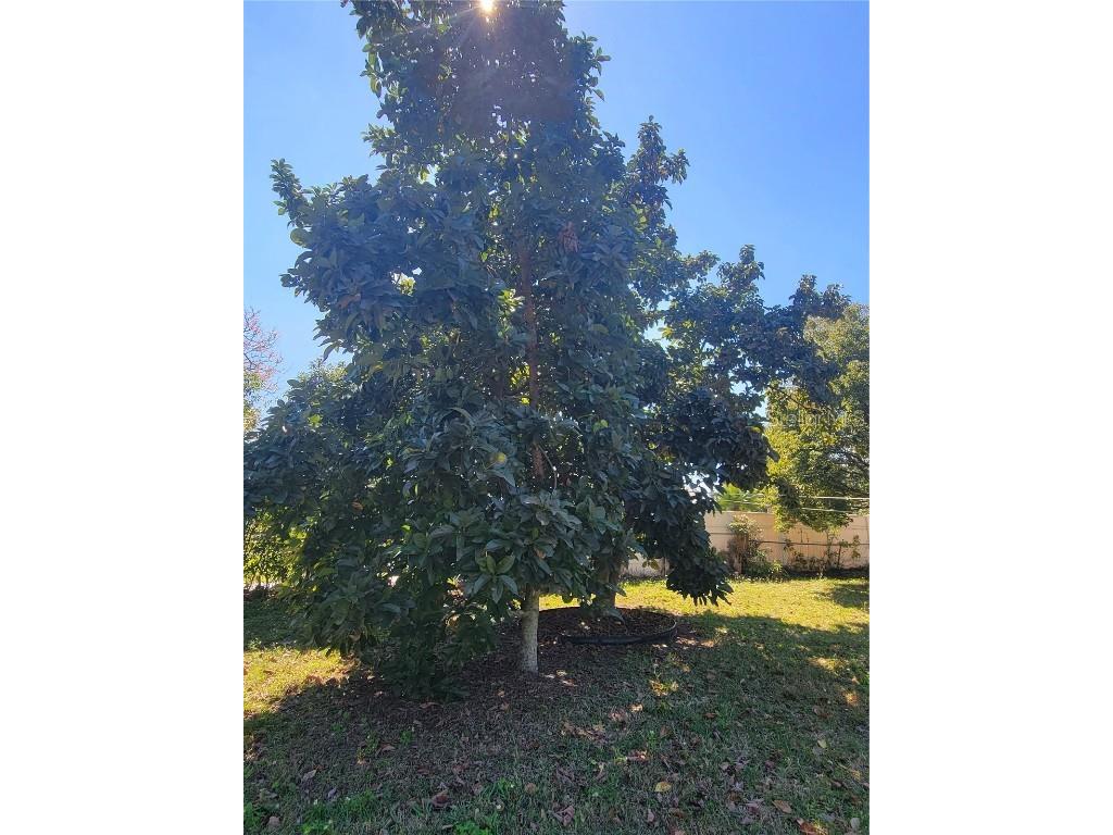 5702 Breskin Drive Orlando FL 32839 P4934773 image25