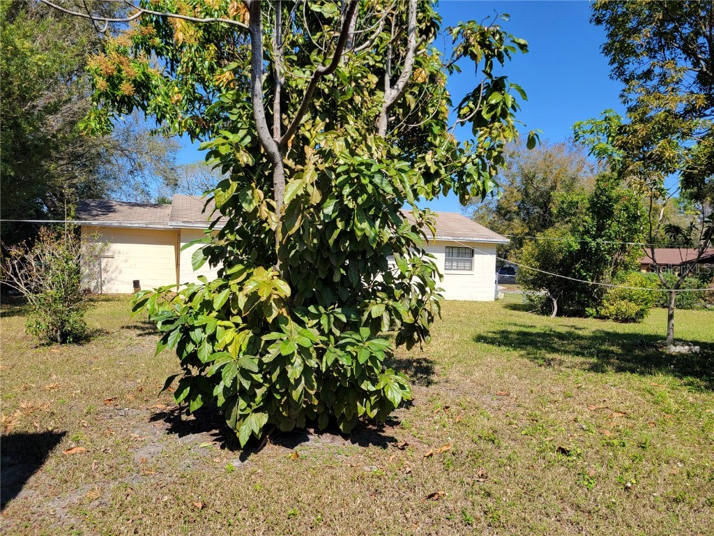 5702 Breskin Drive Orlando FL 32839 P4934773 image27