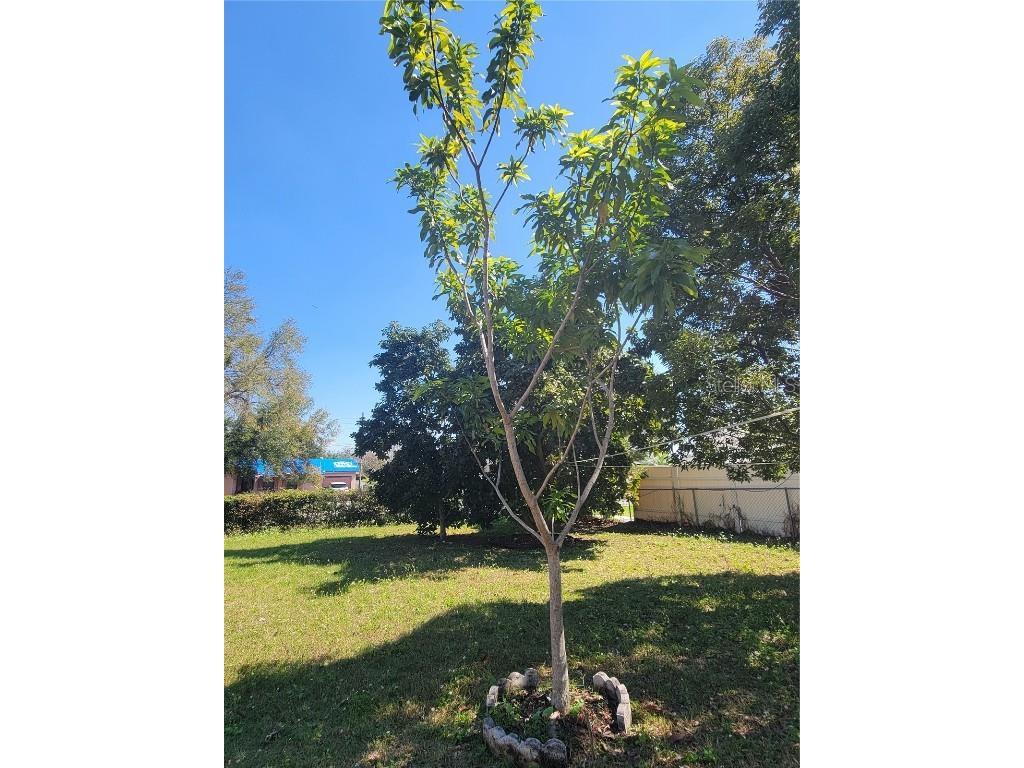 5702 Breskin Drive Orlando FL 32839 P4934773 image28