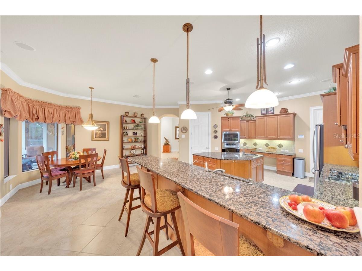 5702 Ternpark Drive Lithia FL 33547 TB8490984 image13
