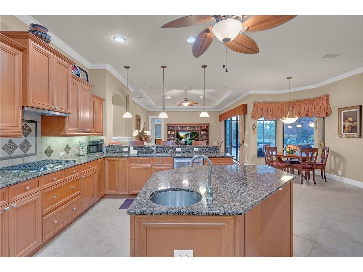 5702 Ternpark Drive Lithia FL 33547 TB8490984 image15