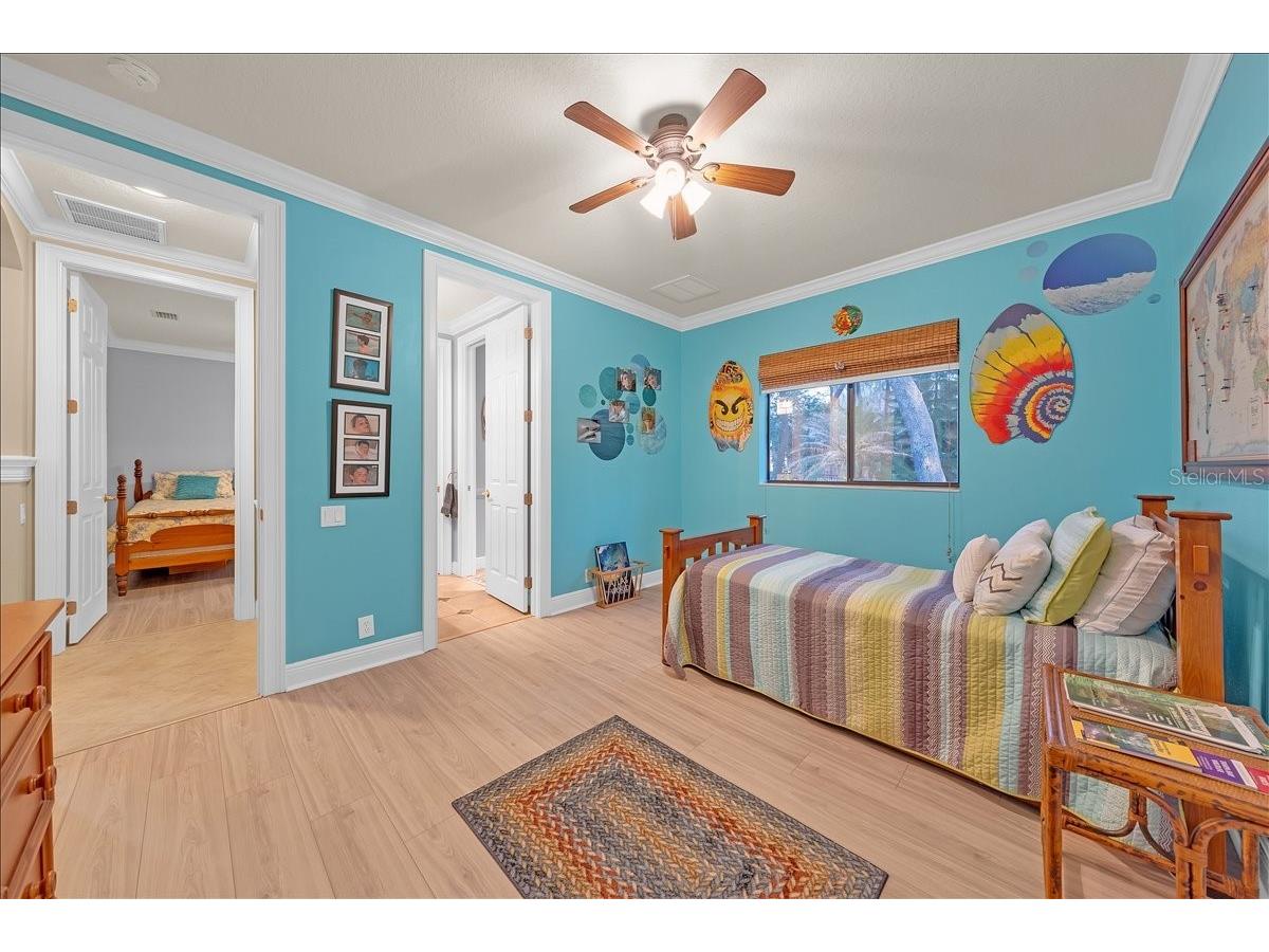 5702 Ternpark Drive Lithia FL 33547 TB8490984 image27
