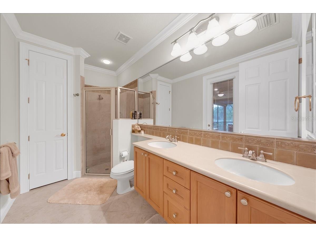 5702 Ternpark Drive Lithia FL 33547 TB8490984 image29