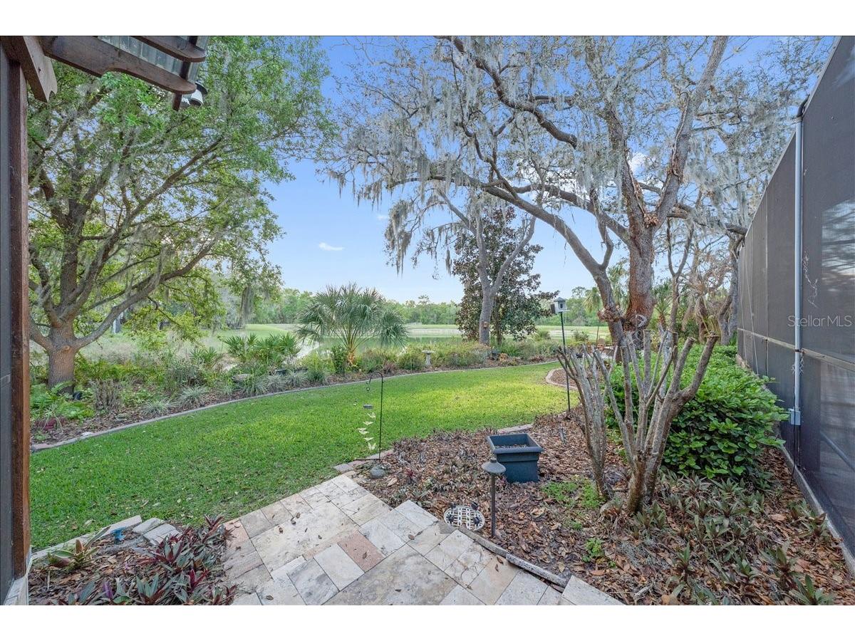 5702 Ternpark Drive Lithia FL 33547 TB8490984 image43