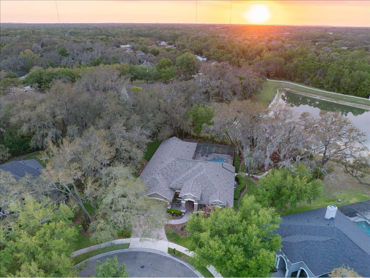 5702 Ternpark Drive Lithia FL 33547 TB8490984 image49