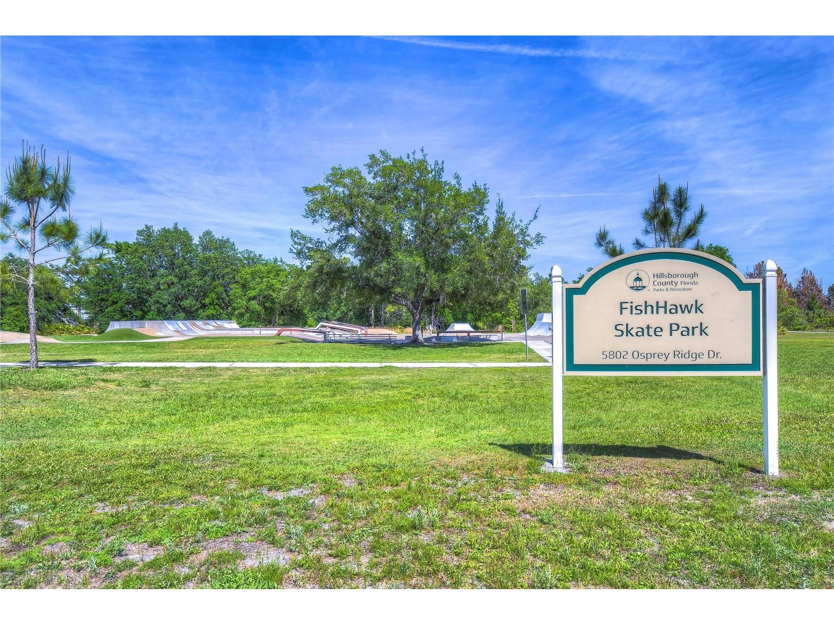 5702 Ternpark Drive Lithia FL 33547 TB8490984 image55