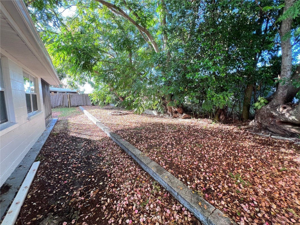 5703 Andrea Drive Holiday FL 34690 TB8447745 image24