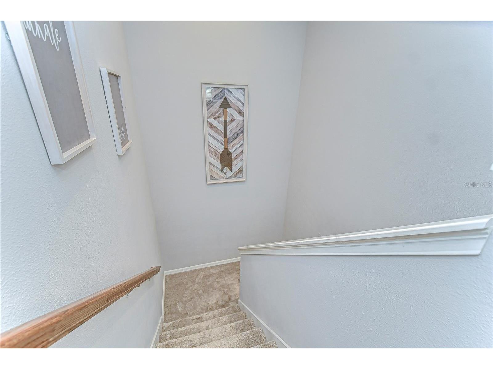 5703 Colony Glen Road Lithia FL 33547 TB8479228 image26