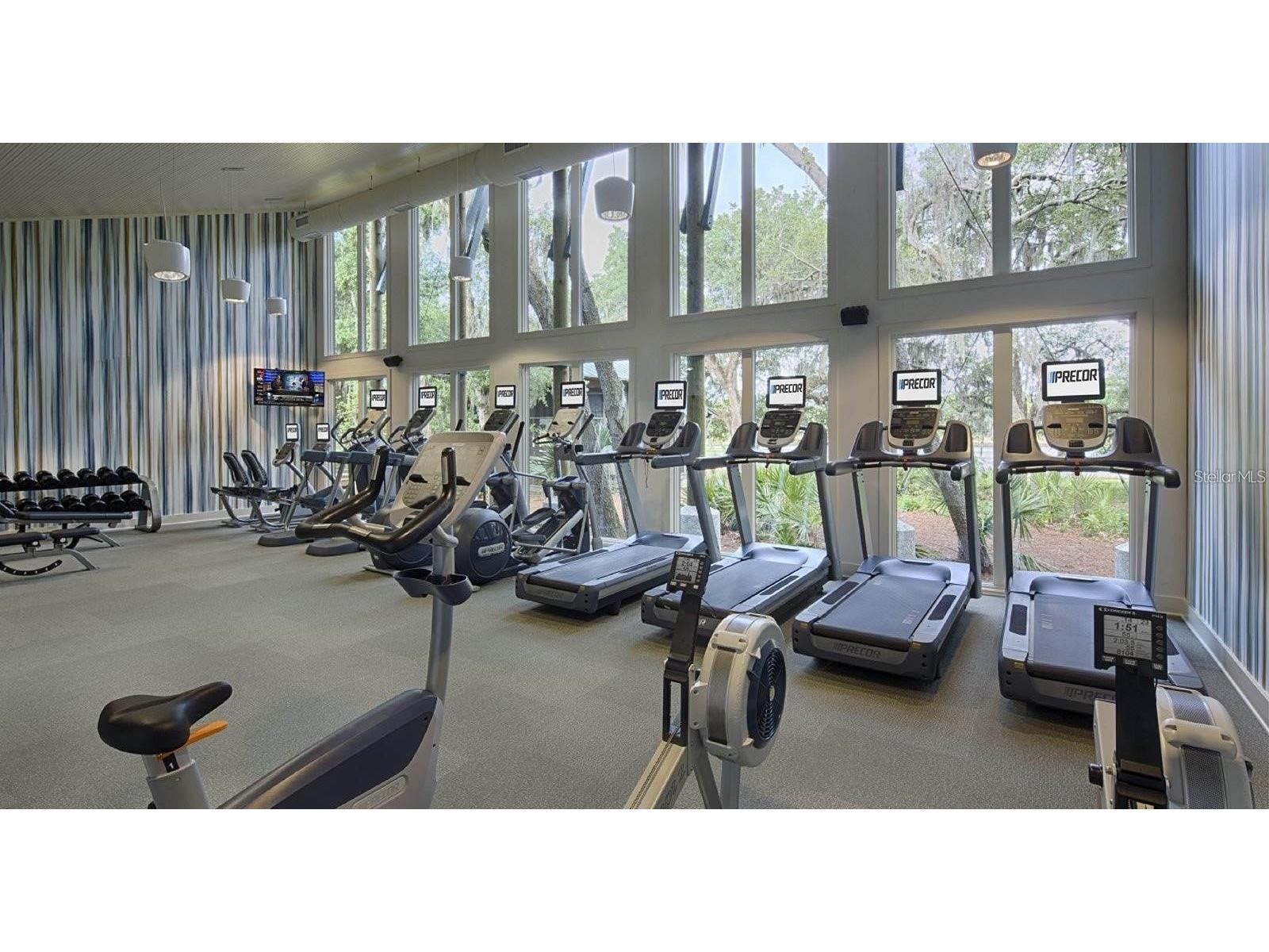 5703 Colony Glen Road Lithia FL 33547 TB8479228 image51