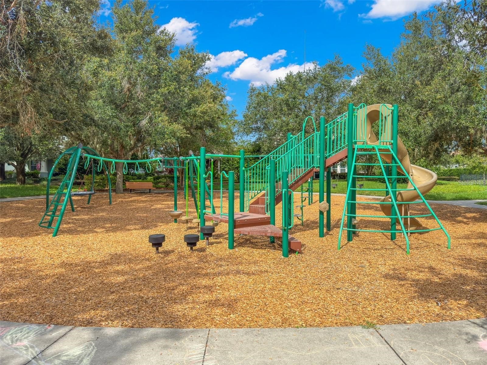 5703 Colony Glen Road Lithia FL 33547 TB8479228 image56