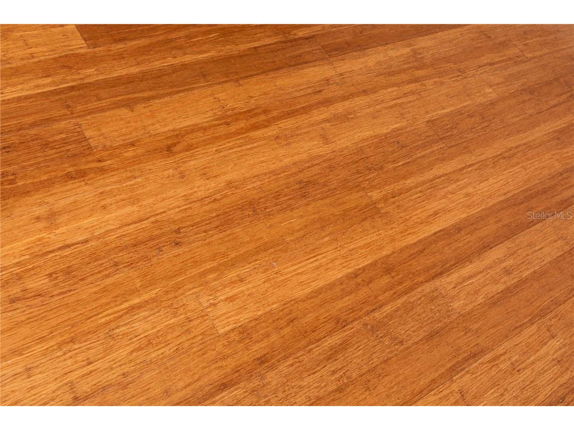 5703 Golden Owl Loop Land O Lakes FL 34638 TB8449143 image11