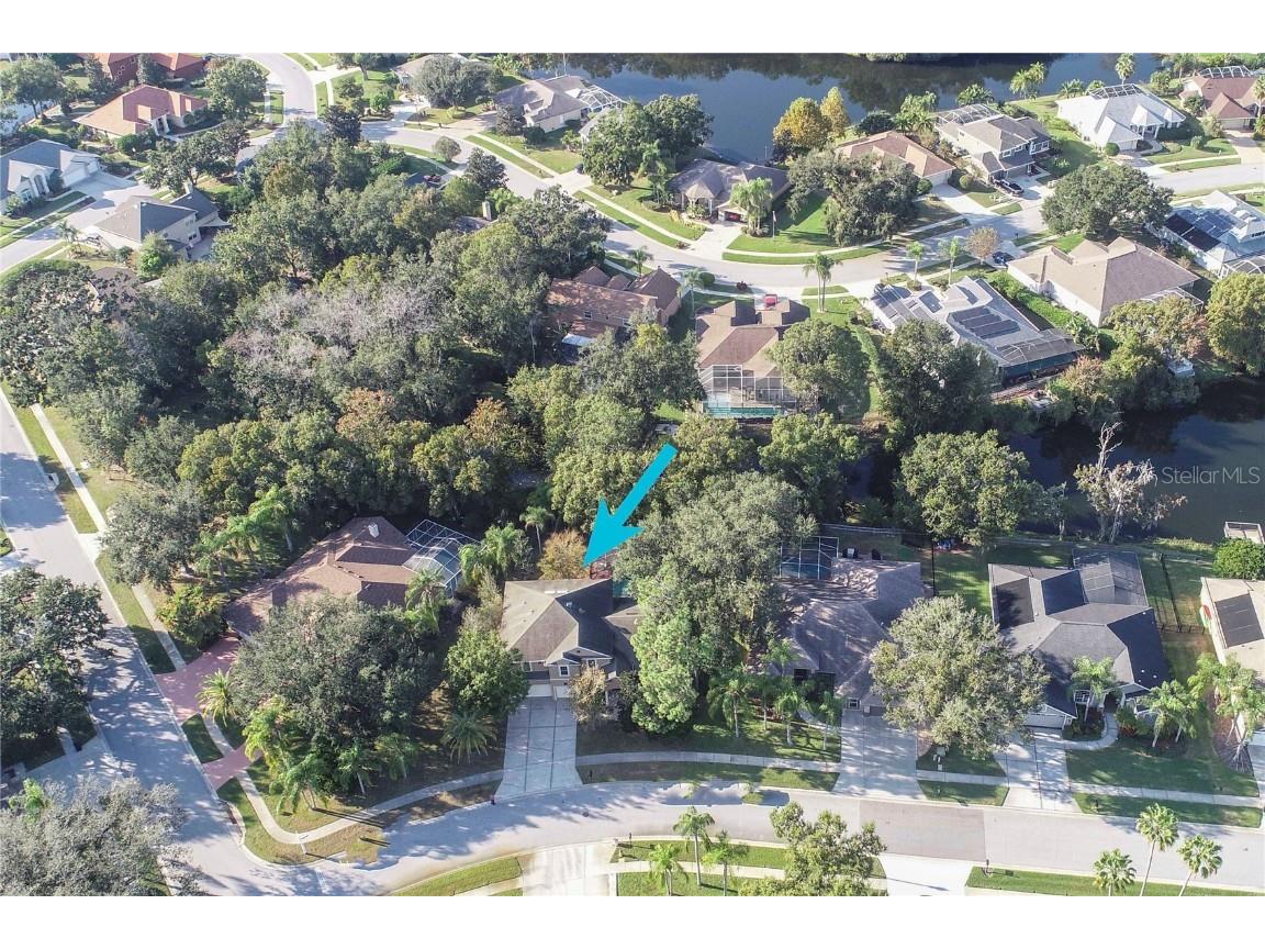 5703 Golden Owl Loop Land O Lakes FL 34638 TB8449143 image53