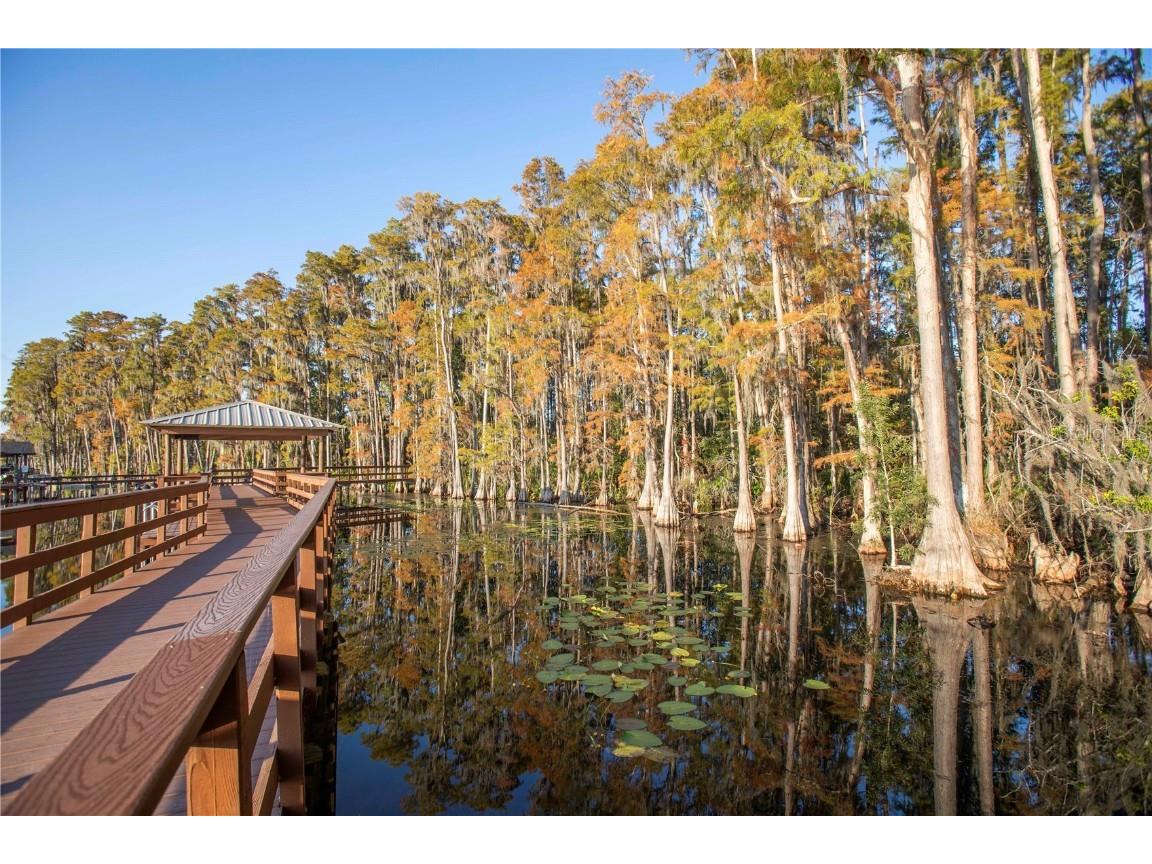 5703 Golden Owl Loop Land O Lakes FL 34638 TB8449143 image58