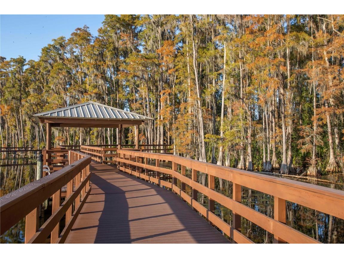 5703 Golden Owl Loop Land O Lakes FL 34638 TB8449143 image59
