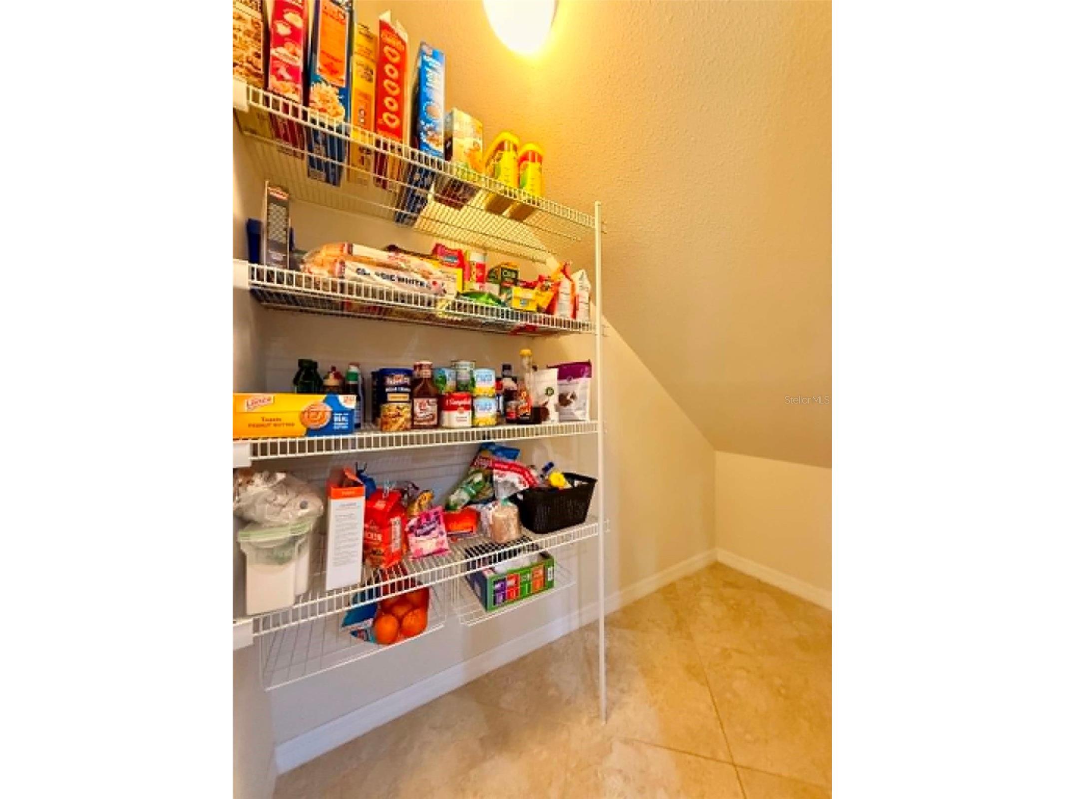 5703 Village Center Drive Lithia FL 33547 TB8520877 image16